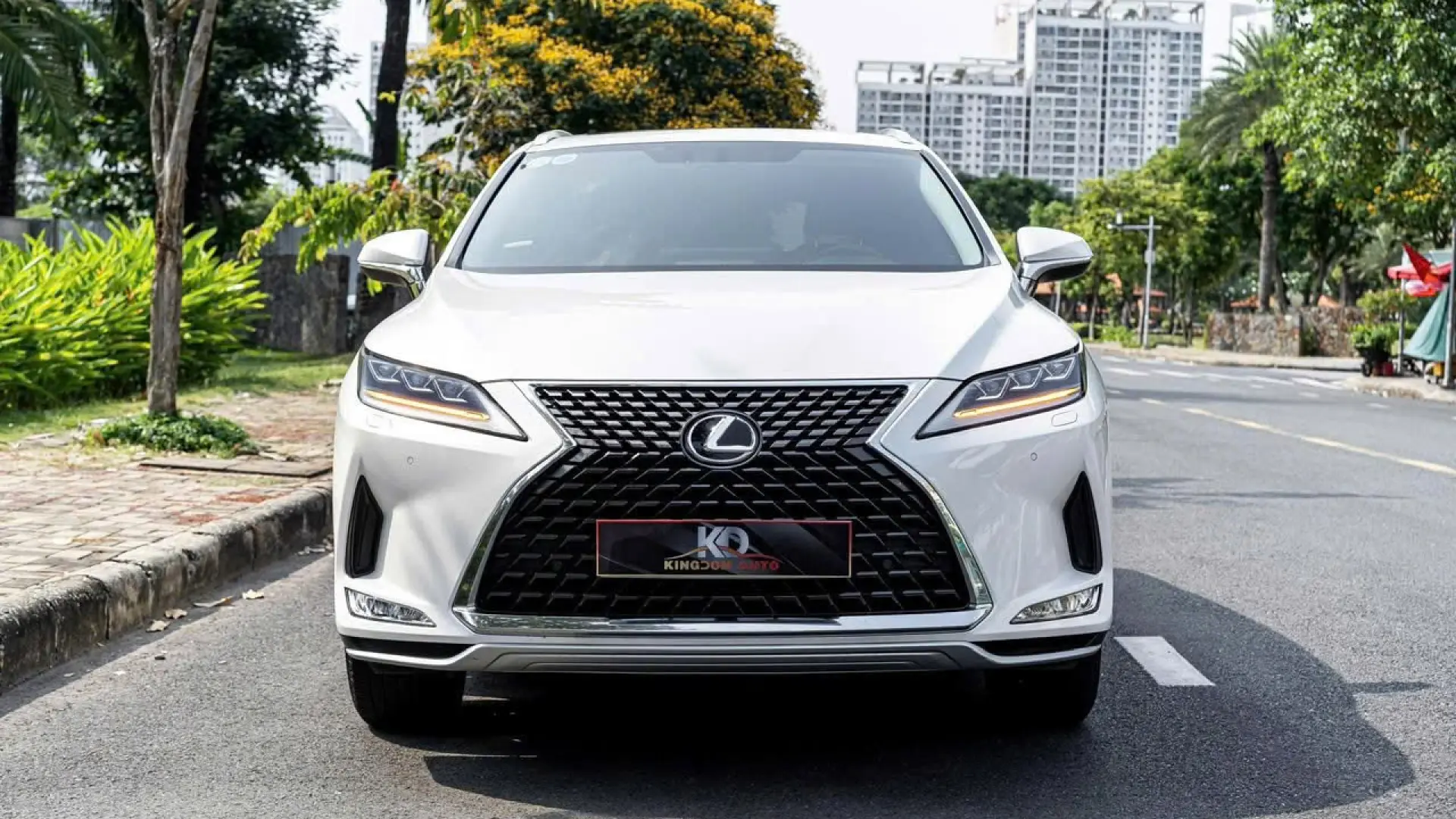 Lexus RX300 model 2021