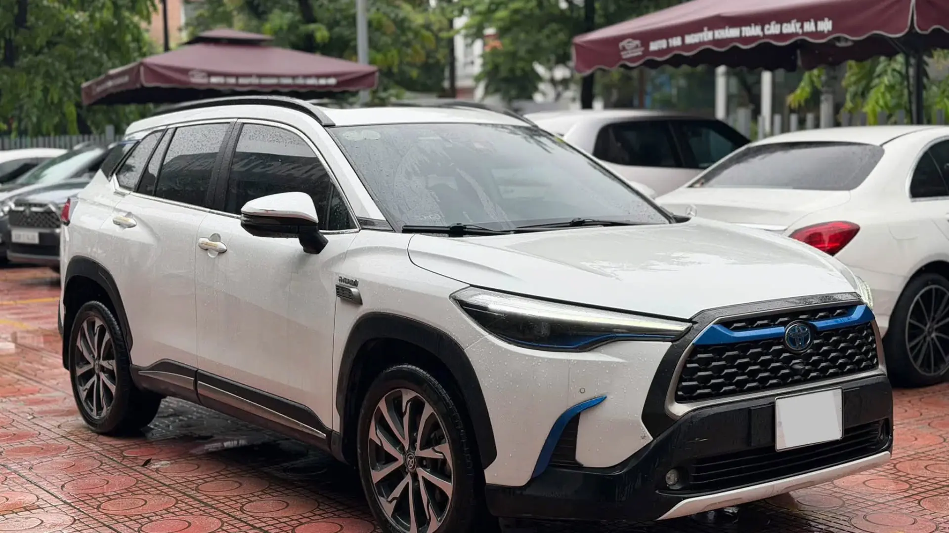 Toyota Corolla Cross 2020 HEV