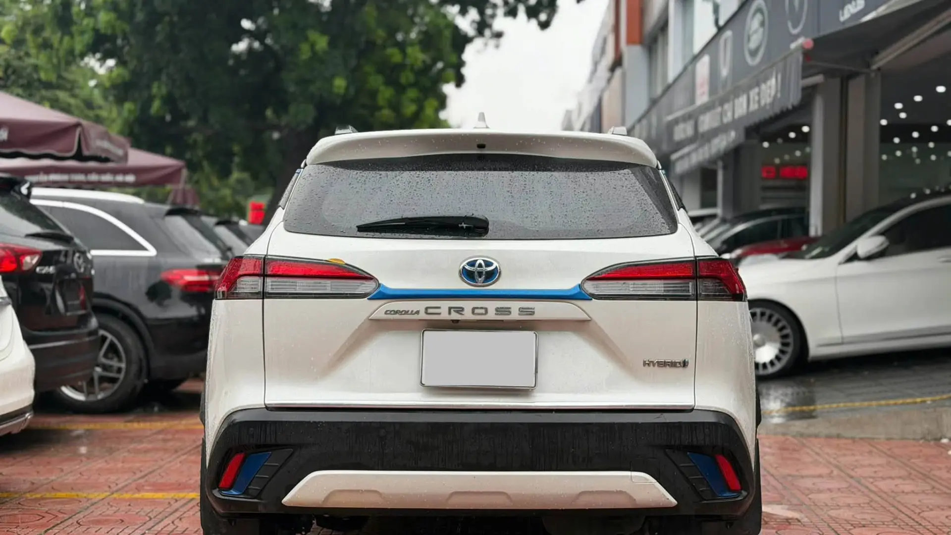Toyota Corolla Cross 2020 HEV